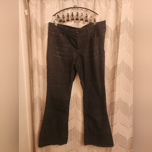 Source Of Wisdom Jeans